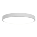 pol_pl_Lampa-sufitowa-Yeelight-Ceiling-Light-C2001C450-21241_6.jpg