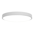 pol_pl_Lampa-sufitowa-Yeelight-Ceiling-Light-C2001C550-21242_2.jpg