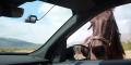 6971669782733_11.webp