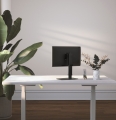 GEMBIRD STOJAK NA MONITOR Z REGULACJĄ WYSOKOŚCI 17"-32", DO 8KG
