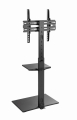 GEMBIRD STOJAK PODŁOGOWY POD TELEWIZOR 32" - 55",
