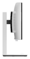 Lenovo Legion Pro 34WD-10 34"WQHD OLED 240Hz AG USB LAN HDMI DP White / Black