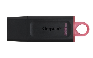 MEMORY DRIVE FLASH USB3.2/256GB DTX/256GB KINGSTON