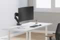 Uchwyt biurkowy do monitora Neomounts DS70PLUS-450BL1 17-49" - sprężyna gazowa - Topfix - ogranicznik 180°