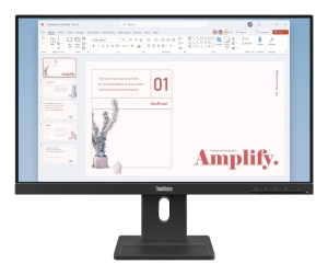 Monitor Lenovo 23,8" ThinkVision E24-40 (64BAMAT1EU)