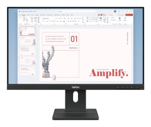Monitor Lenovo 23,8" ThinkVision E24-40 (64BAMAT1EU)