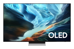 TV SET LCD 65" OLED 4K/QE65S90HAEXXH SAMSUNG